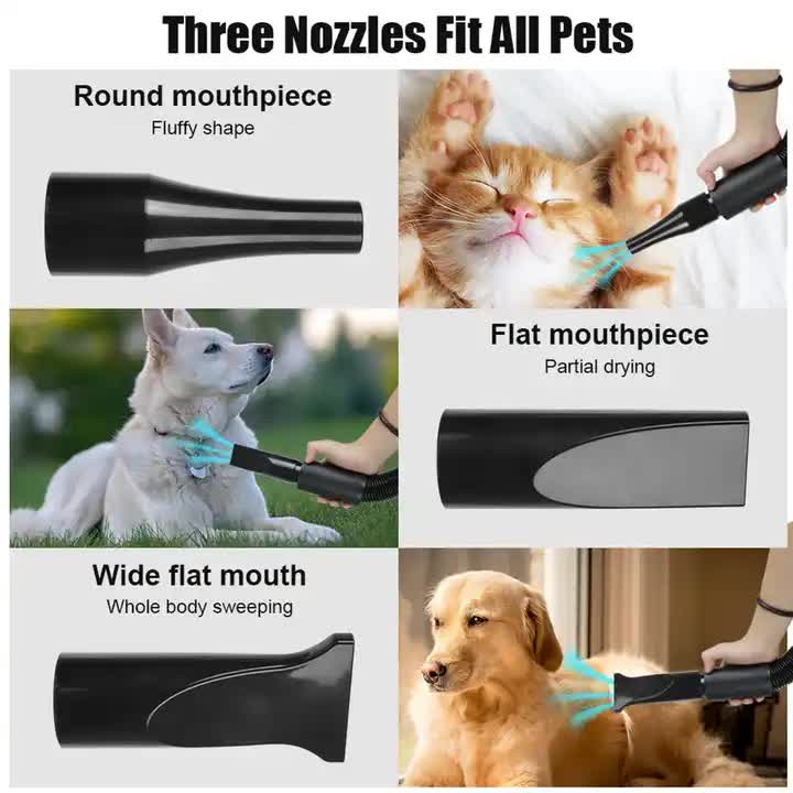 Powerful Pet Hair Dryer with Multiple Nozzle for Dogs and Cats